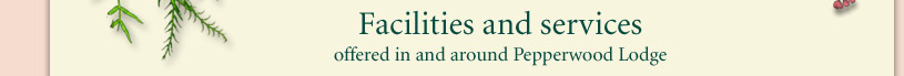 Facilities and services at Pepperwood Lodge