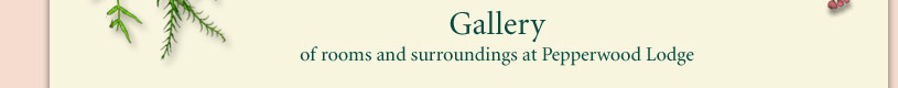 Gallery of Pepperwood Lodge
